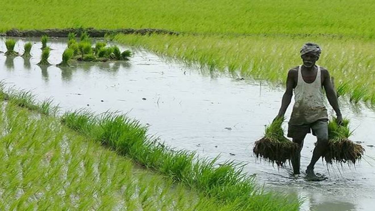 Deliver what you promised, or face another andolan: Farmers