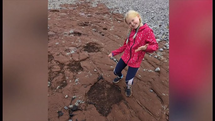 Little girl discovers 200 million-year-old dinosaur footprints during beach walk