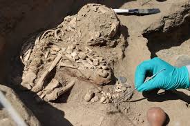 3,800-year-old human skeletons unearthed in Peruvian temple surprise explorers