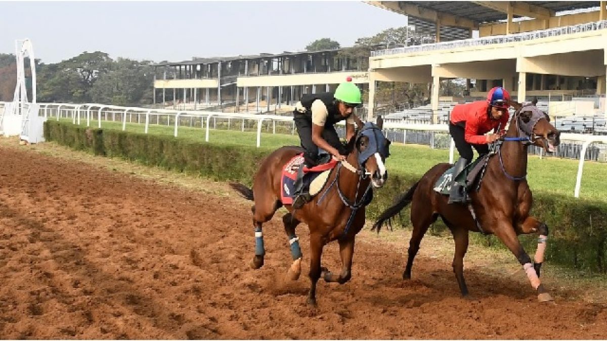 TN govt terminates lease agreement, to take over Madras Race Club