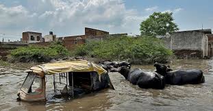 Smart city of Mathura – Vrindavan as the pre-monsoon rain leaves roads inundated